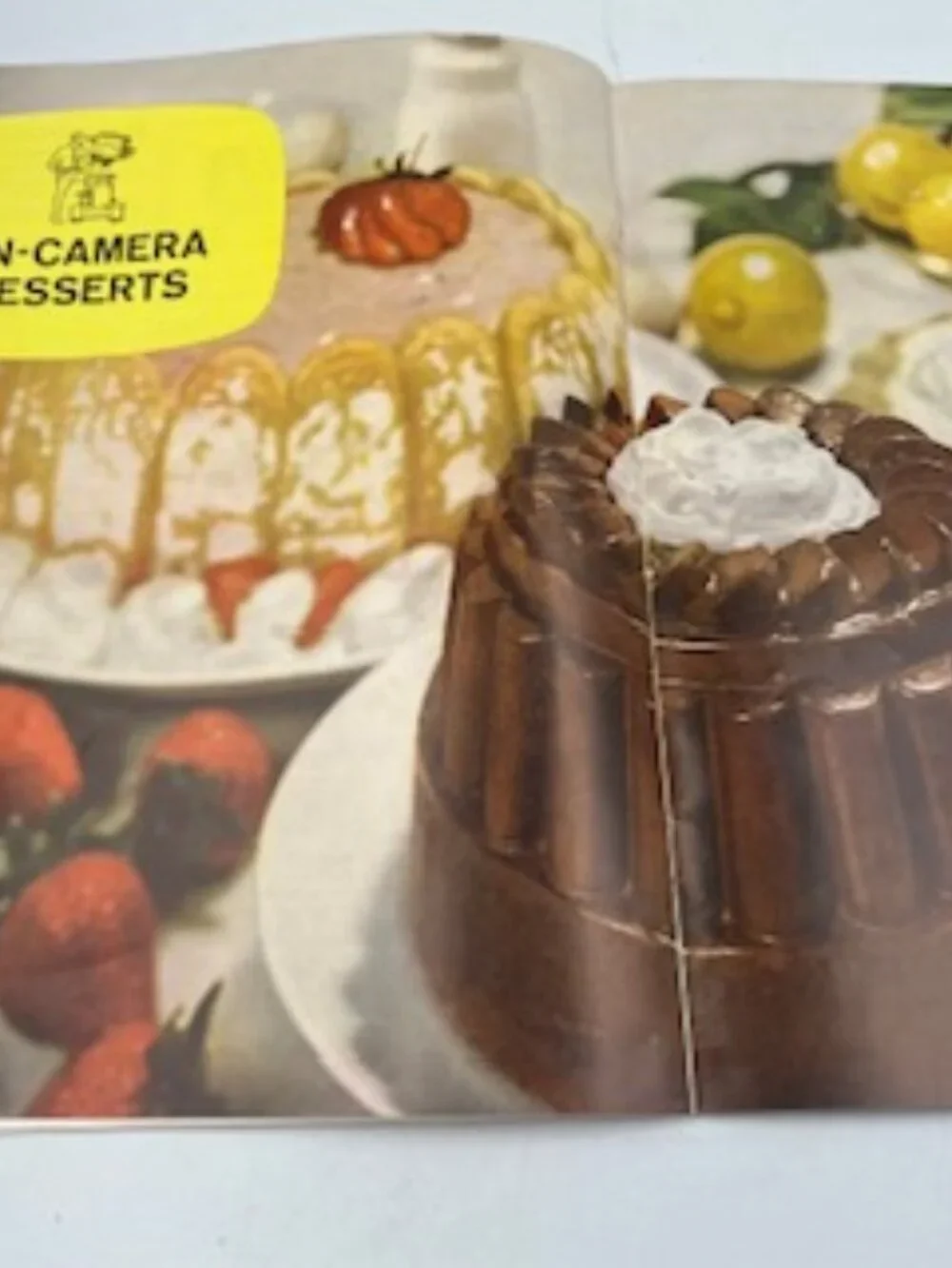 Vintage Knox On-Camera Recipe book from 1962 Gelatin Recipes